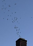 Frank Wagner Elementary School