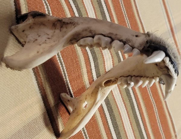 20251030_210454 (1).jpg