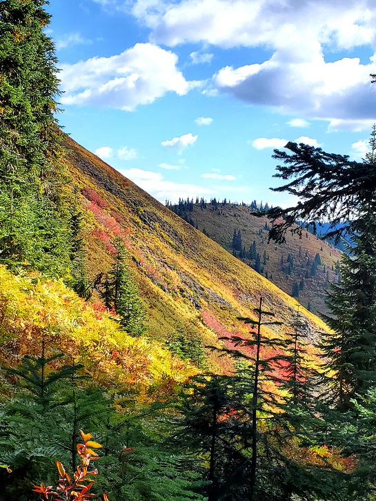 20230922_SouthFlank FrogMtn(sm).jpg