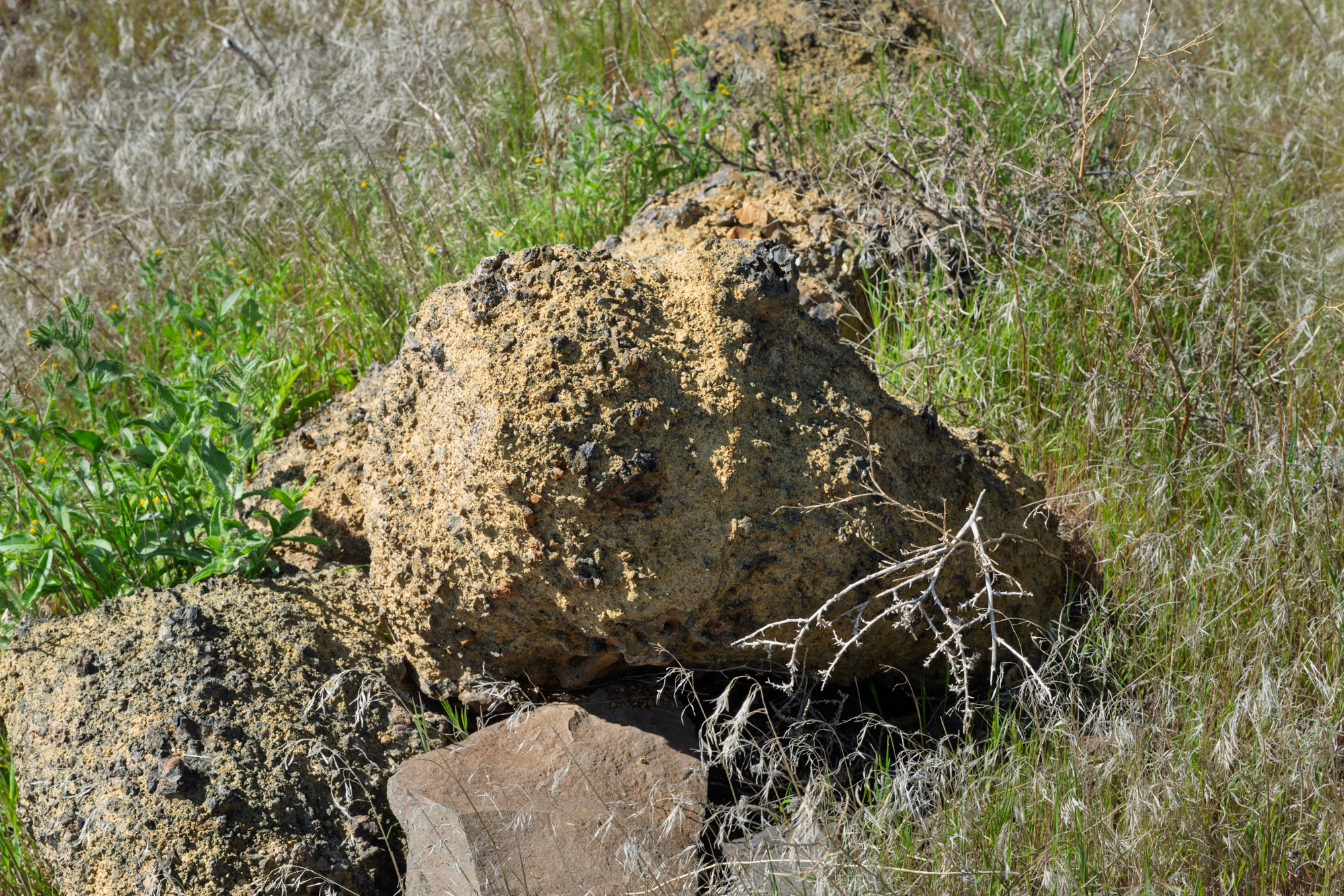010-Pillow Basalt  -Ginkgo State Park-Kittitas County-0992.jpg