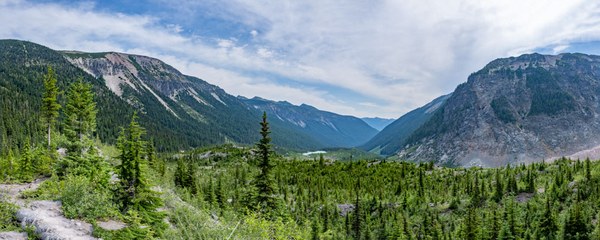 Easst from Emmons Moraine--Mt. Rainier National Park-.jpg