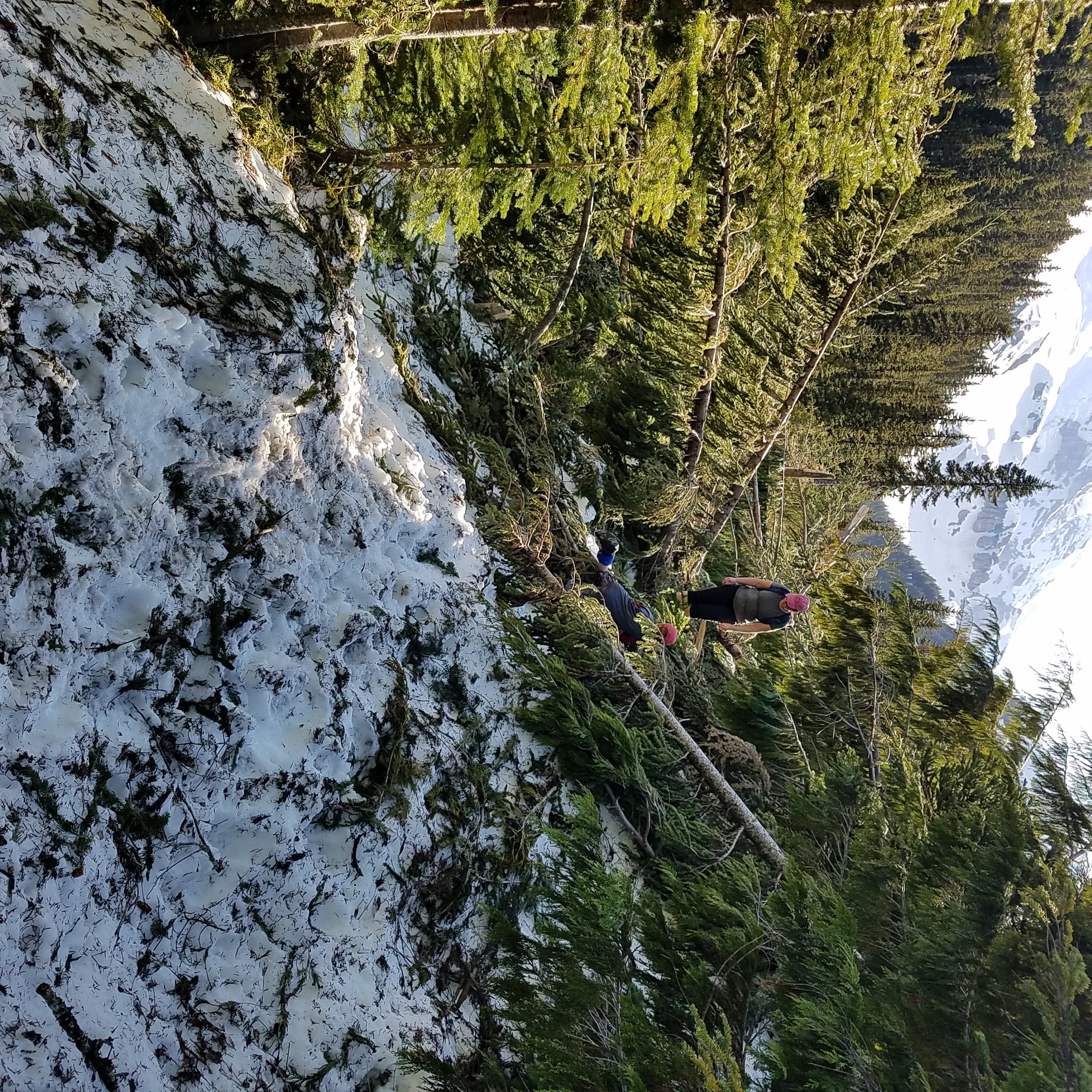 Glacier Basin Mount Rainier (2).jpg