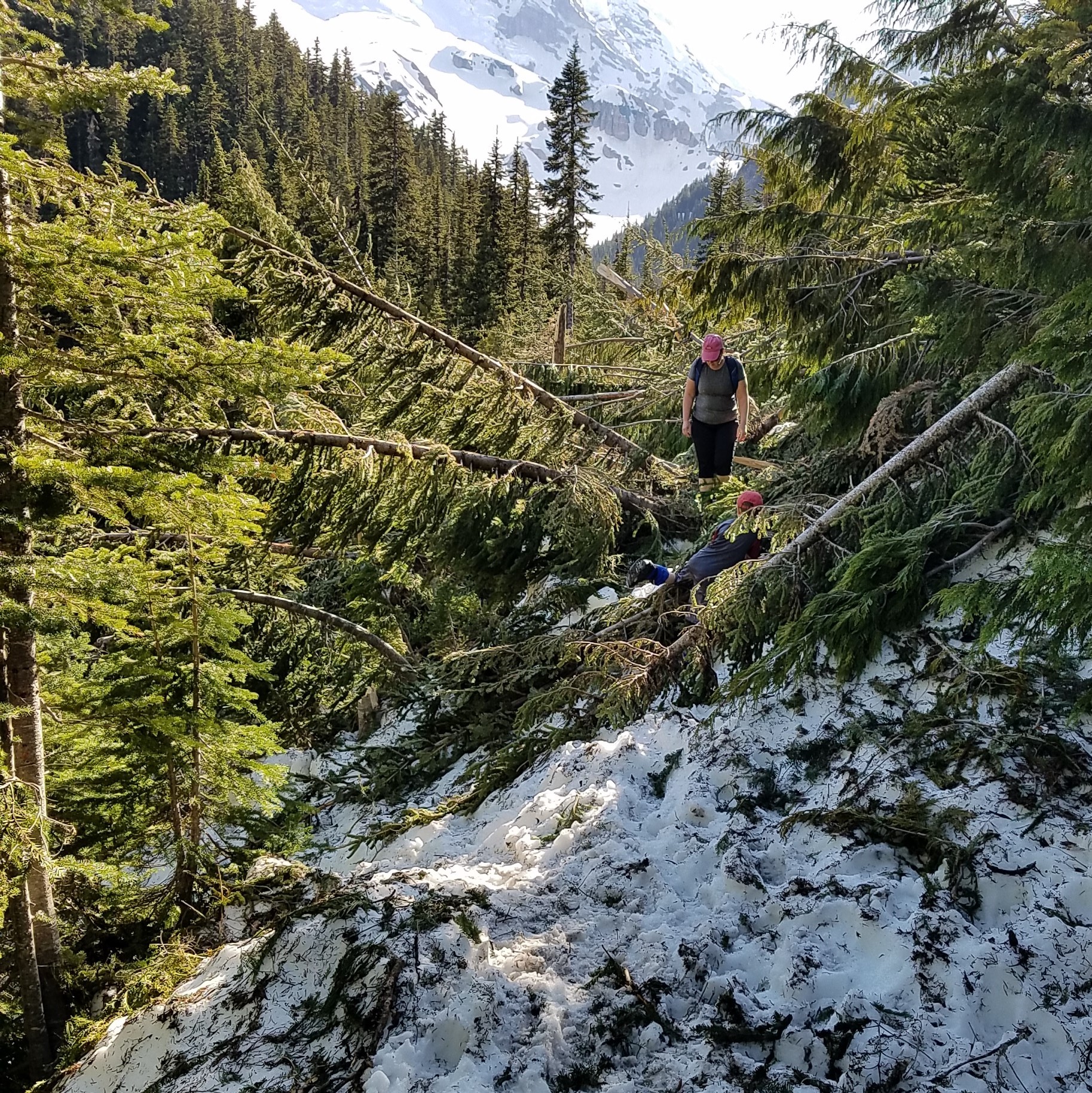 Glacier Basin Mount Rainier (2).jpg