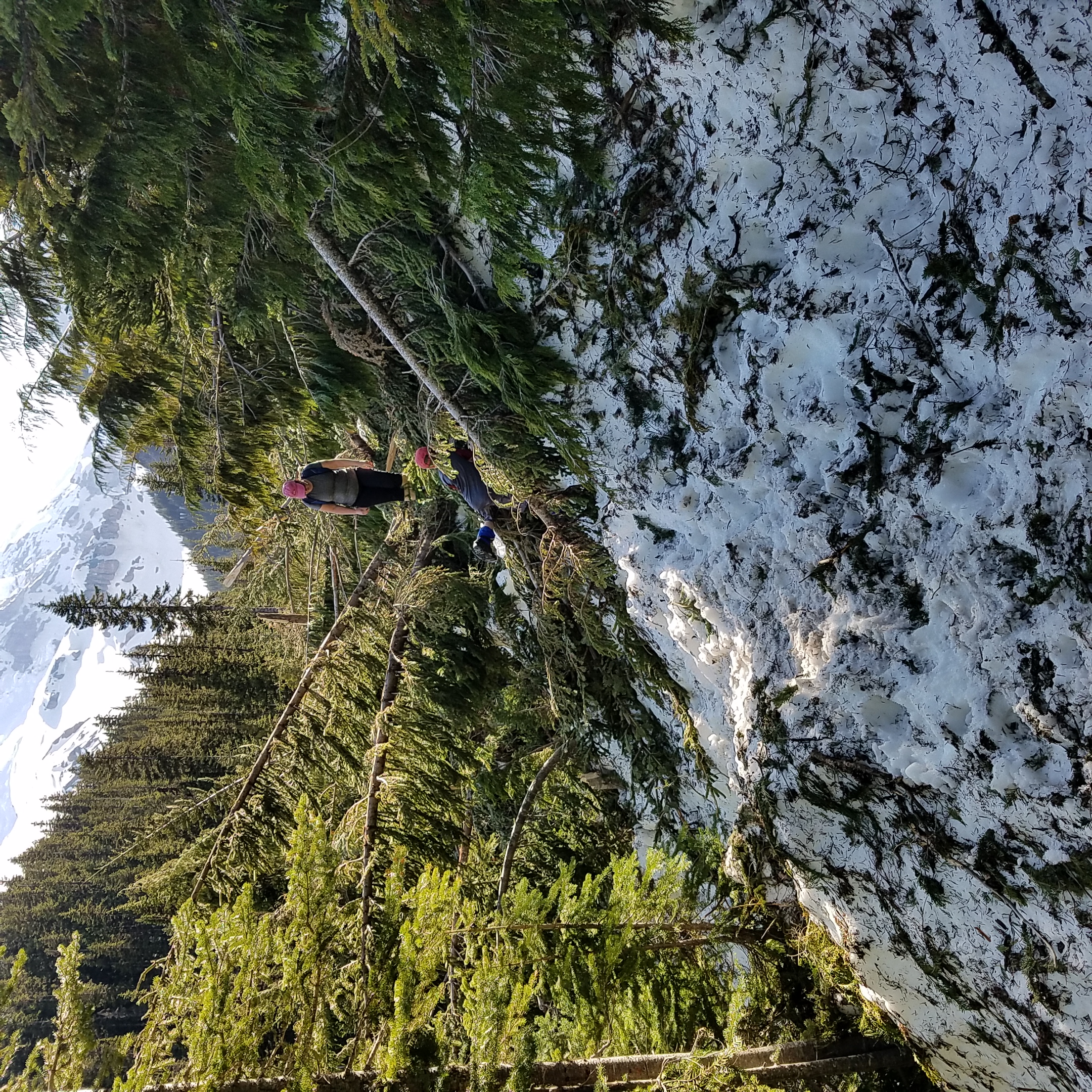Glacier Basin Mount Rainier.jpg