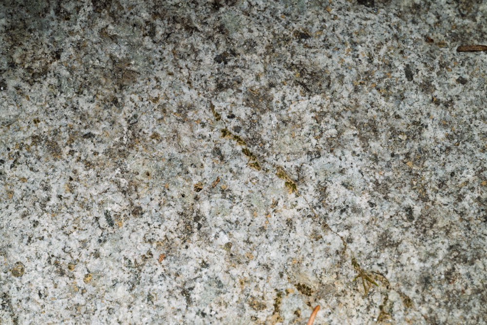 Granodiorite-Emmons Moraine-Mt Rainier NP-0240.jpg