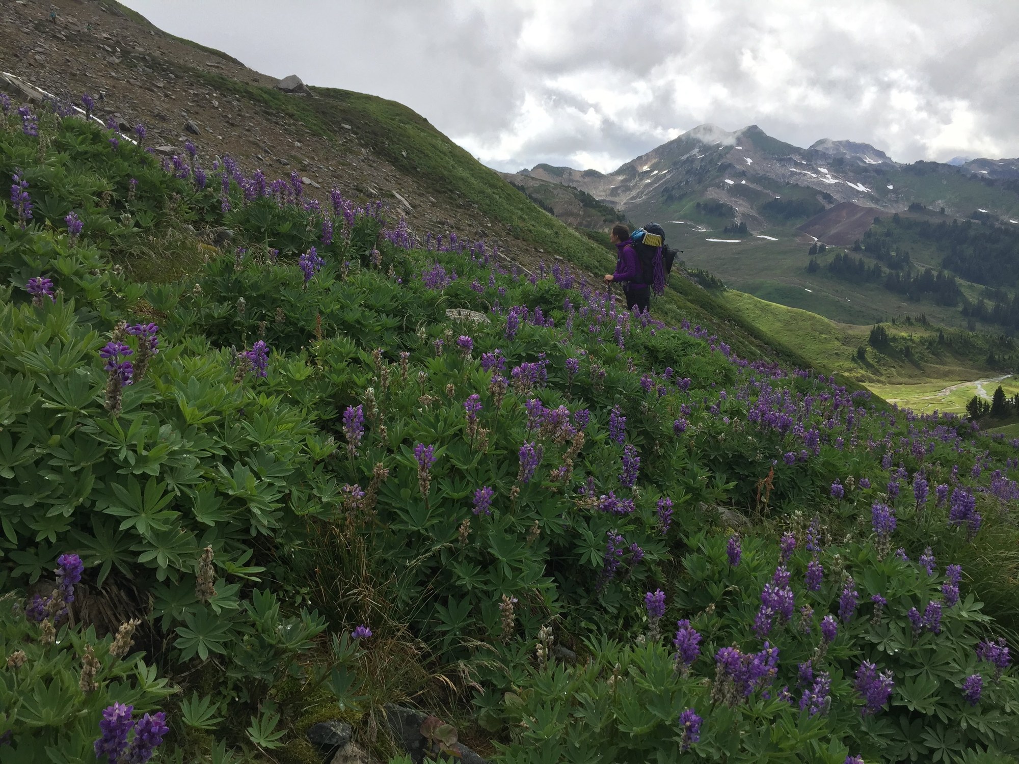 GlacierPeakJuly2019 015.JPG