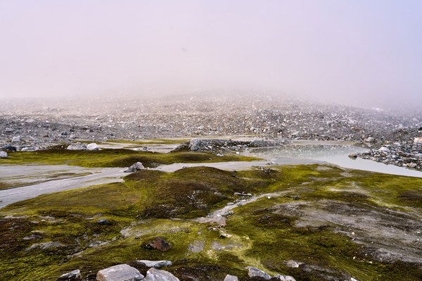 DSC00608.jpeg DSC00608.jpeg