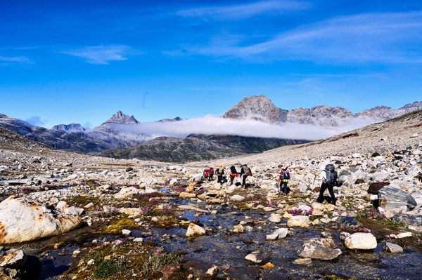 DSC00729.jpeg DSC00729.jpeg