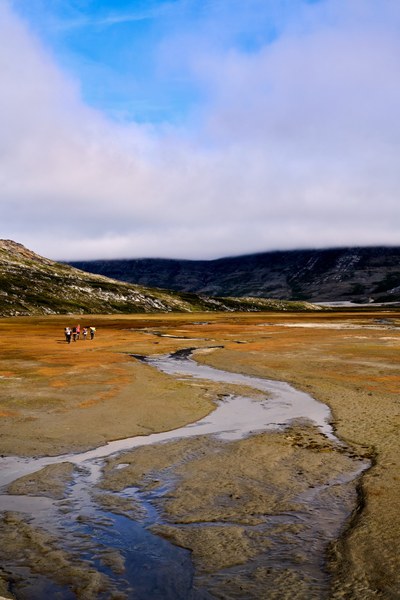 DSC00870.jpeg DSC00870.jpeg