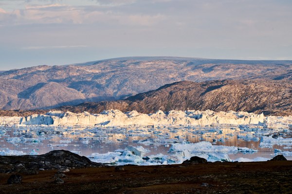 DSC01789.jpeg DSC01789.jpeg