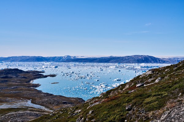 DSC01919.jpeg DSC01919.jpeg