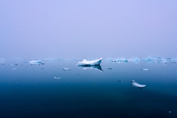 DSC02442.jpeg DSC02442.jpeg