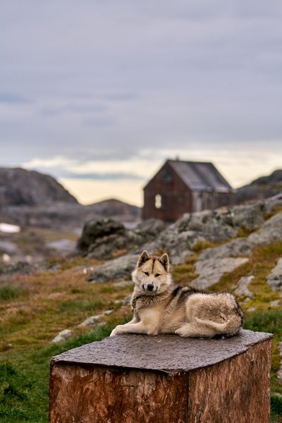 DSC09636.jpeg DSC09636.jpeg