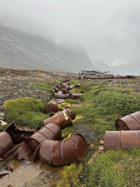 IMG_1355.jpeg IMG_1355.jpeg