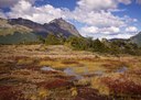 Backpack Across Patagonia's Tierra del Fuego