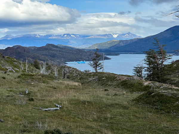 IMG_7653.png IMG_7653.png