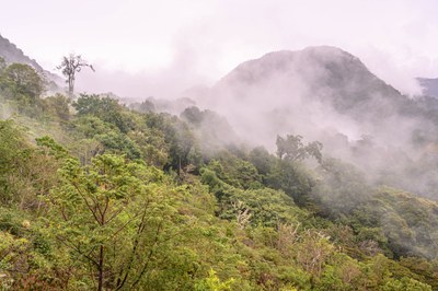 Bird and Hike the Cloud Forests of Western Panama