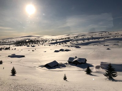 Cross-country Ski in Norway