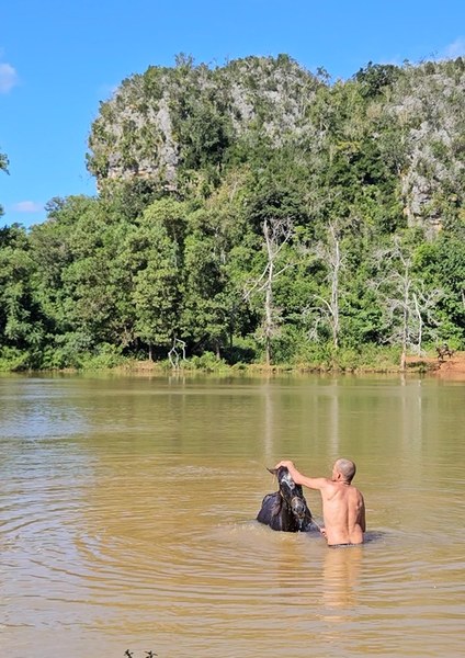 20241124 horse wash.jpg