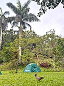 20241129 CodinaTents1a.jpg