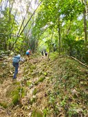 20241129_111714 (Small).jpg