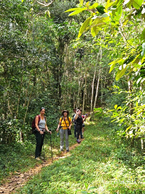 20241129_113705 (Small).jpg