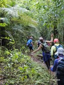 20241130_100619 (Small) (1).jpg