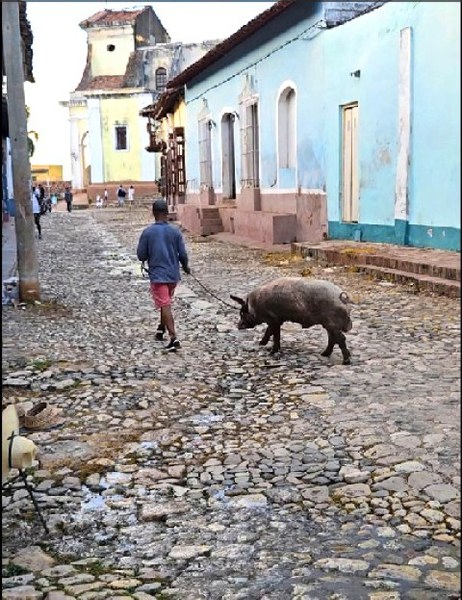 20241201 Trinidad (Small).jpg