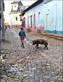 20241201 Trinidad (Small).jpg