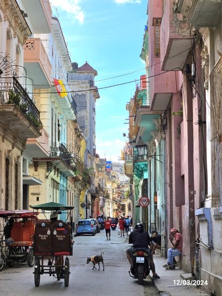 20241203_150130 (Small).jpg