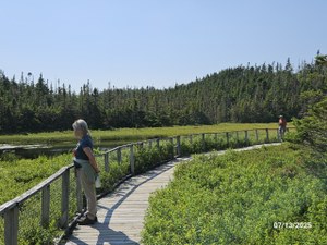 20250713_161508 (Small).jpg