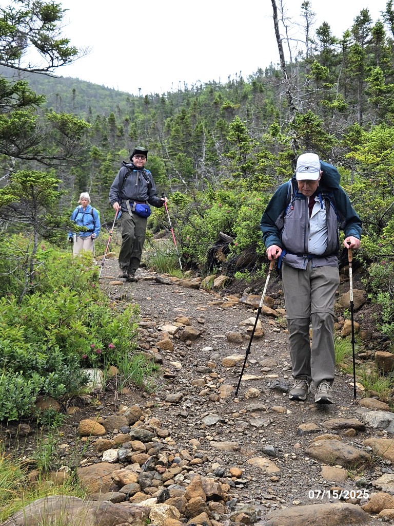 20250715_GreenGardens1 (Medium).jpg