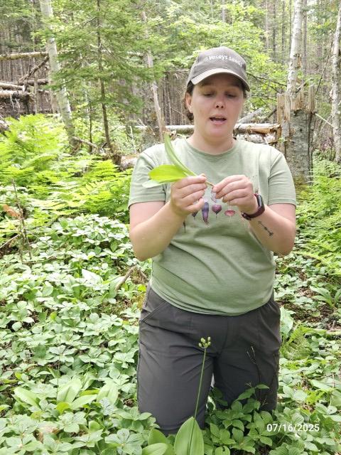 20250716_foraging1 (Small).jpg