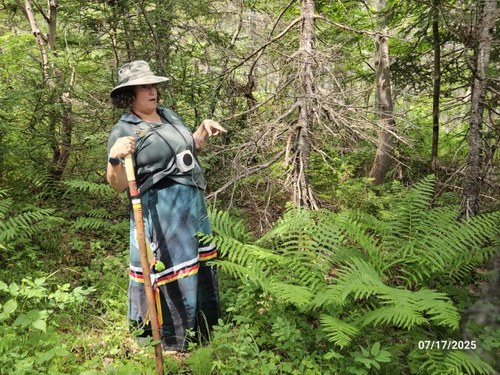 20250717_142845 (Small).jpg