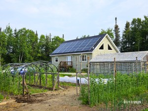 20250717_UpperHumber (Small).jpg