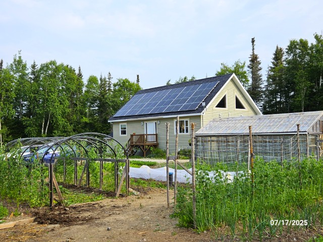 20250717_UpperHumber (Small).jpg