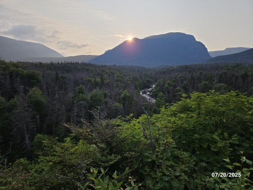 20250720_071452 (Medium).jpg