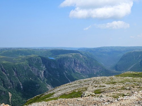 20250720_125448a (Medium).jpg