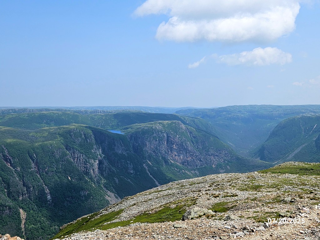 20250720_125448a (Medium).jpg