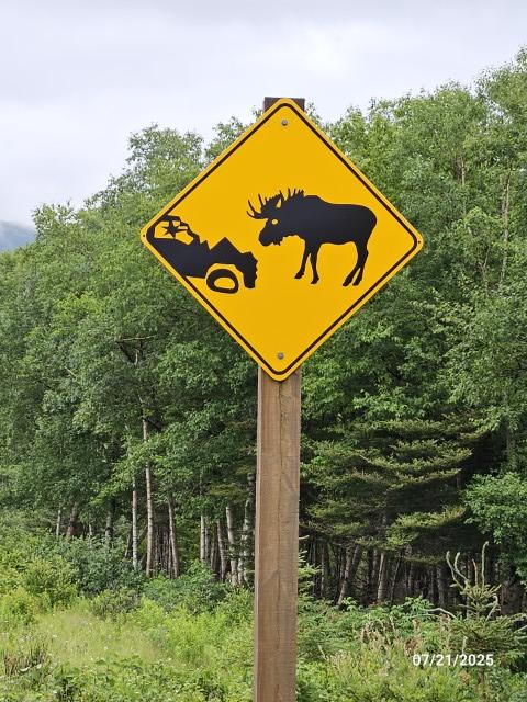 20250721_083755 (Small).jpg