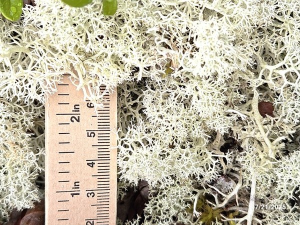 20250721_153614 (Small).jpg