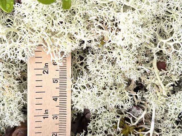 20250721_153614 (Small).jpg