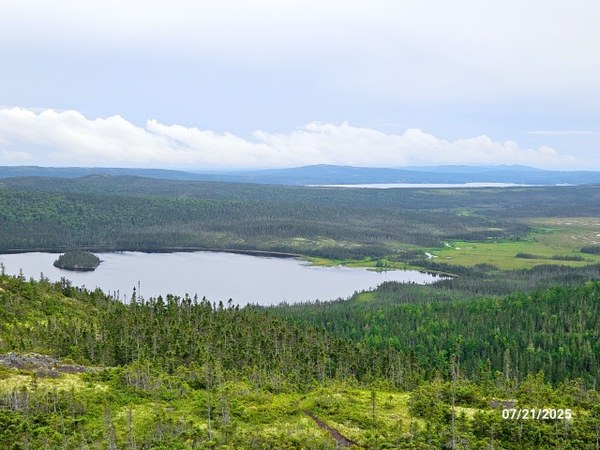 20250721_OchreHill (Small).jpg