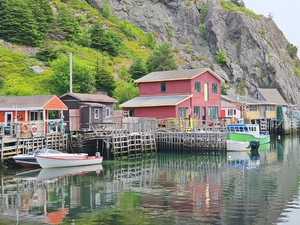 20250724_QuidiVidi (Small).jpg