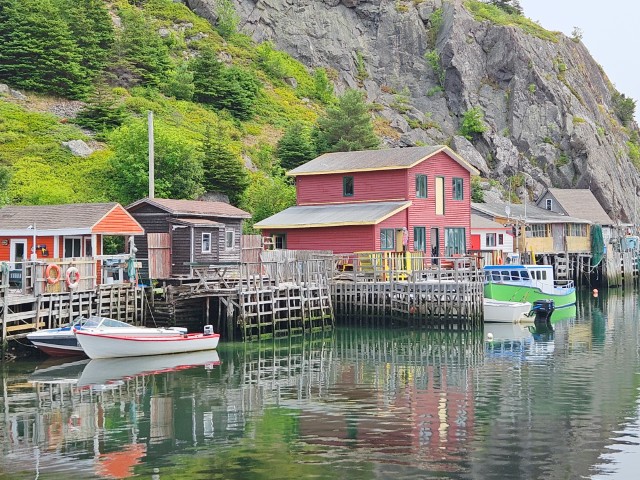 20250724_QuidiVidi (Small).jpg