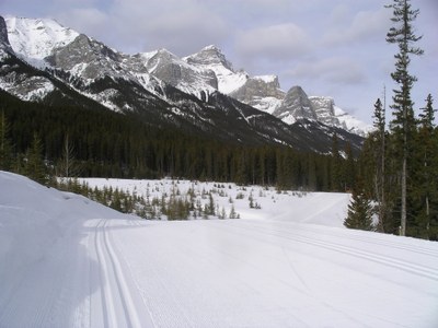 Nordic Ski the Canadian Rockies of Lake Louise and Canmore