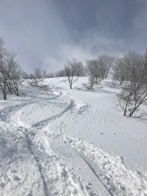 Ski/Snowboard on Hokkaido, Powder Capitol of the World