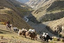 Trek Nepal's Upper Dolpo