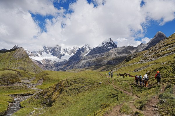 DSC02023.jpeg DSC02023.jpeg