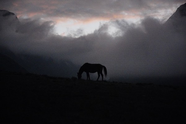 DSC04230b.jpeg DSC04230b.jpeg